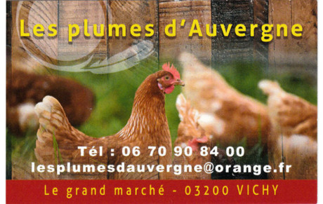 LES PLUMES D'AUVERGNE